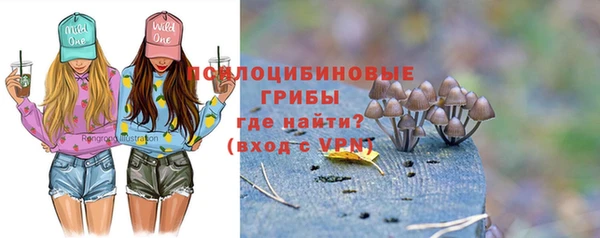 метамфетамин Алексеевка