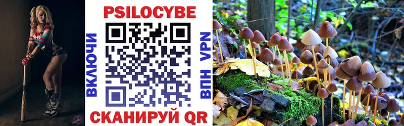 Галлюциногенные грибы Magic Shrooms  Новомичуринск 