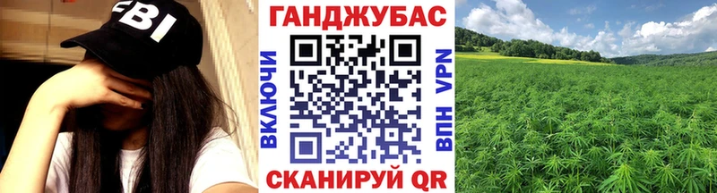 Бошки Шишки семена  продажа наркотиков  Новомичуринск 